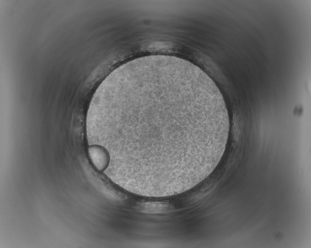 X0000112730449200910011201