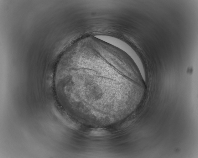 X0000112730451200910011201