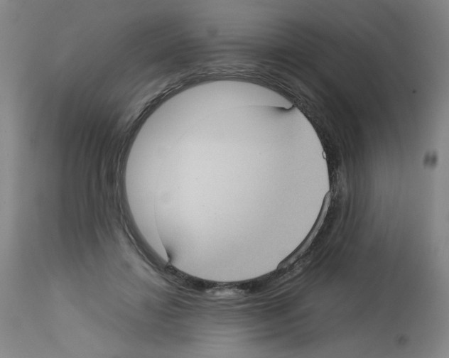 X0000112730452200910011201