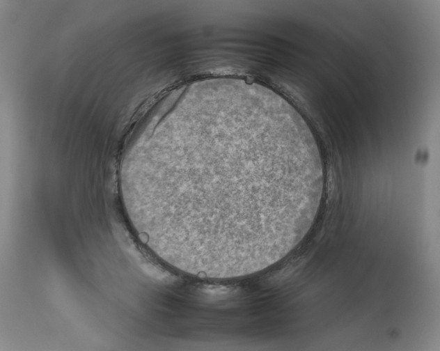 X0000112730453200910011201