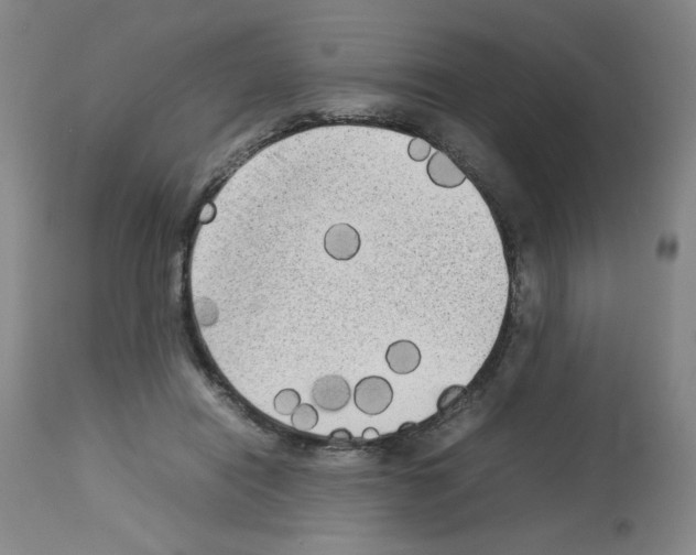 X0000112730454200910011201