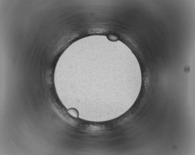 X0000112730455200910011201