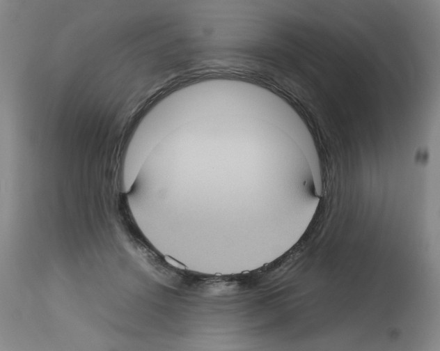 X0000112730456200910011201