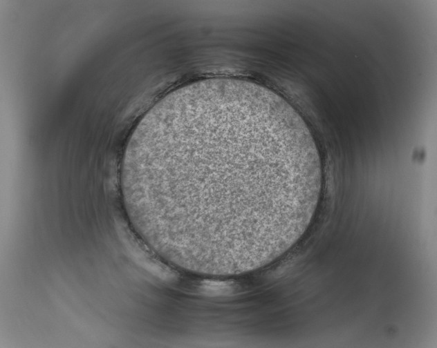 X0000112730457200910011201