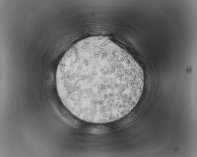 X0000112730459200910011201