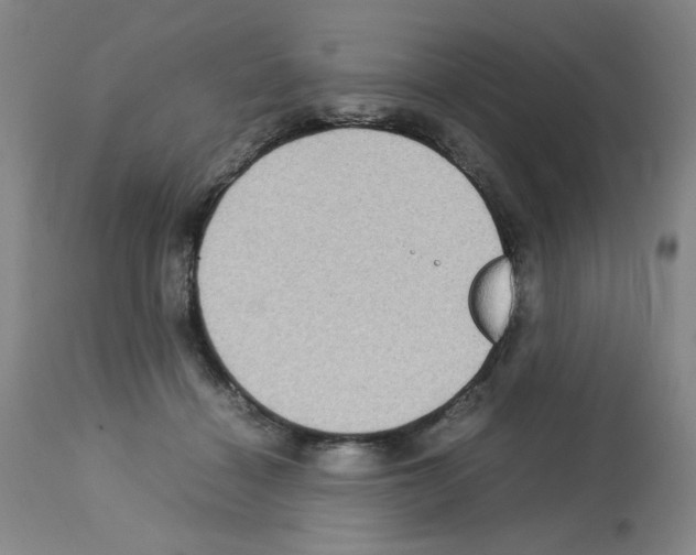 X0000112730460200910011201