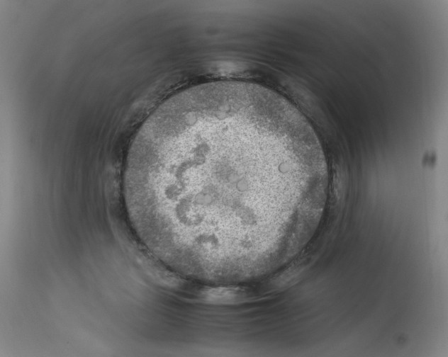 X0000112730461200910011201