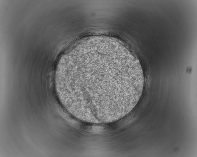 X0000112730462200910011201