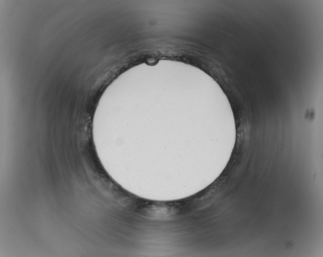 X0000112730464200910011201