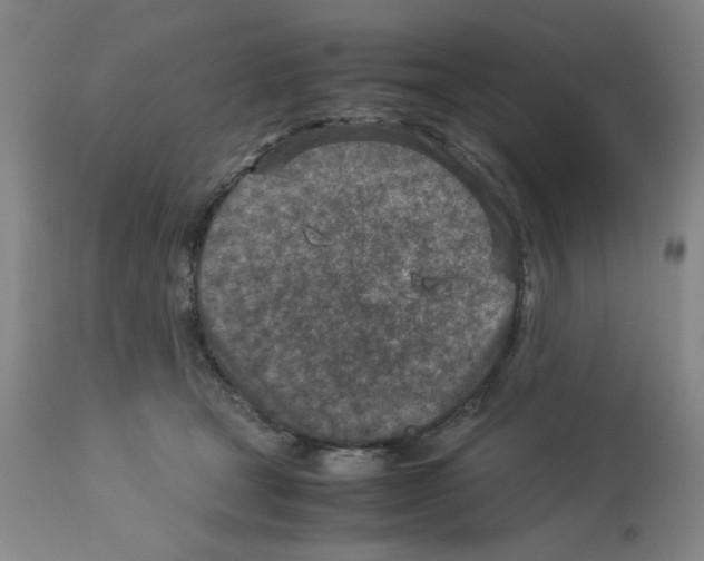 X0000112730465200910011201