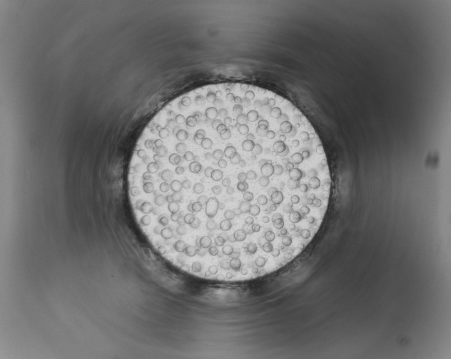 X0000112730466200910011201