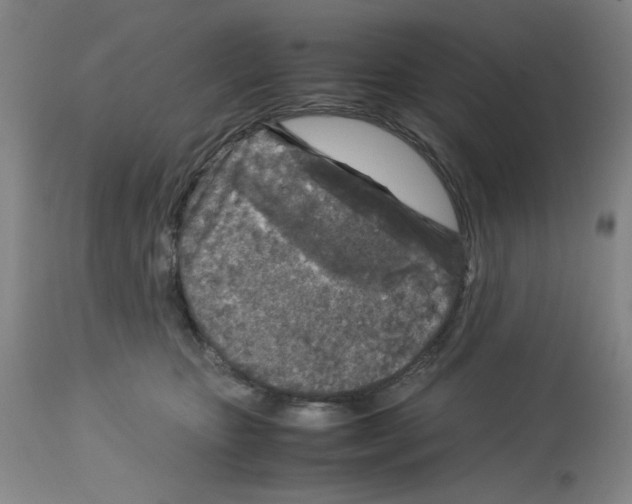 X0000112730467200910011201