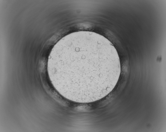 X0000112730468200910011201