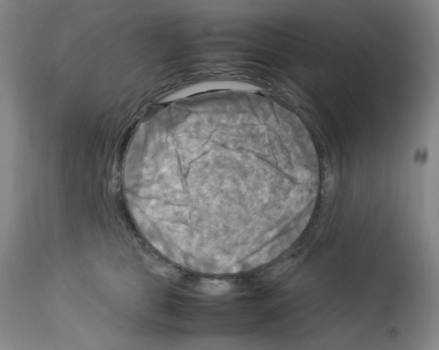 X0000112730469200910011201