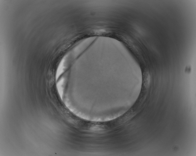 X0000112730471200910011201