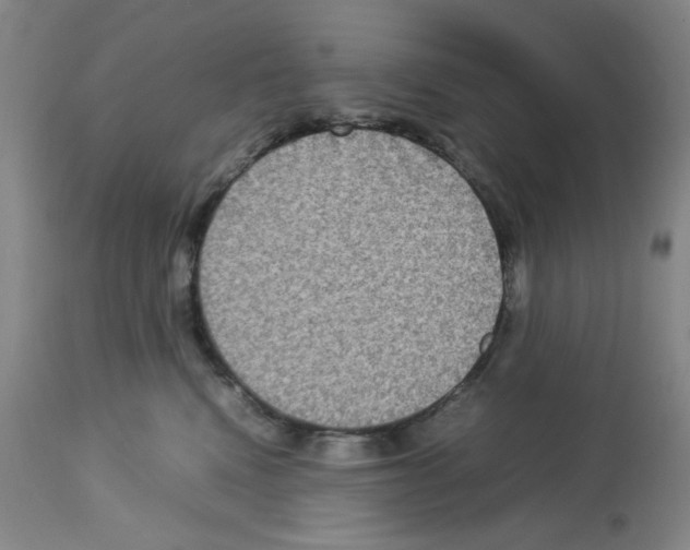 X0000112730472200910011201
