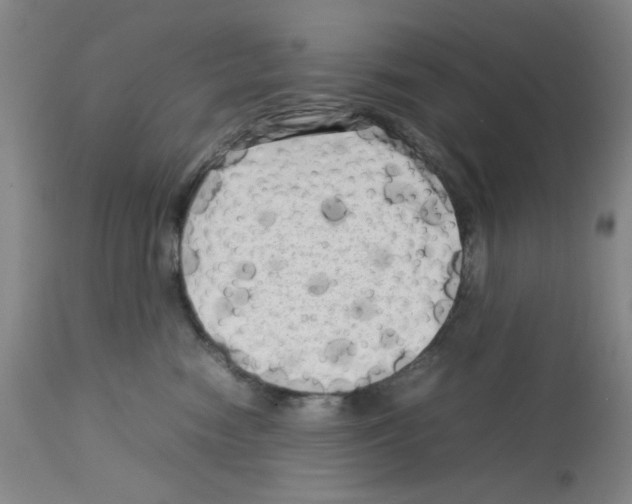 X0000112730474200910011201