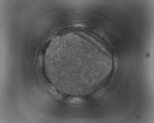X0000112730475200910011201