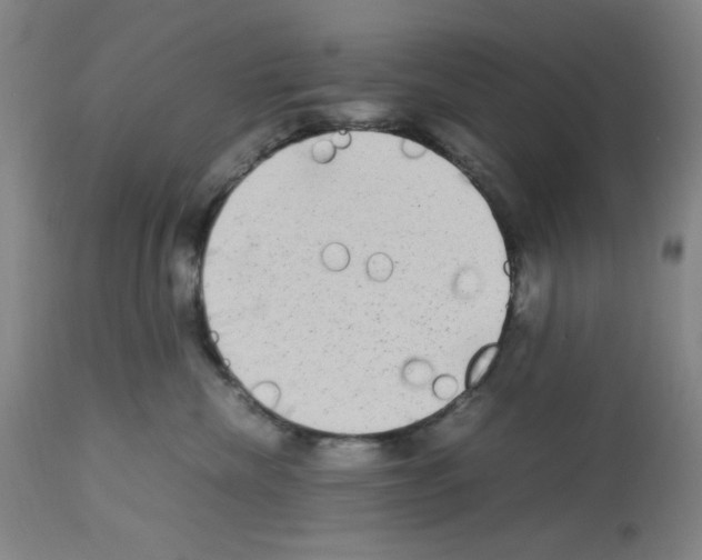 X0000112730476200910011201