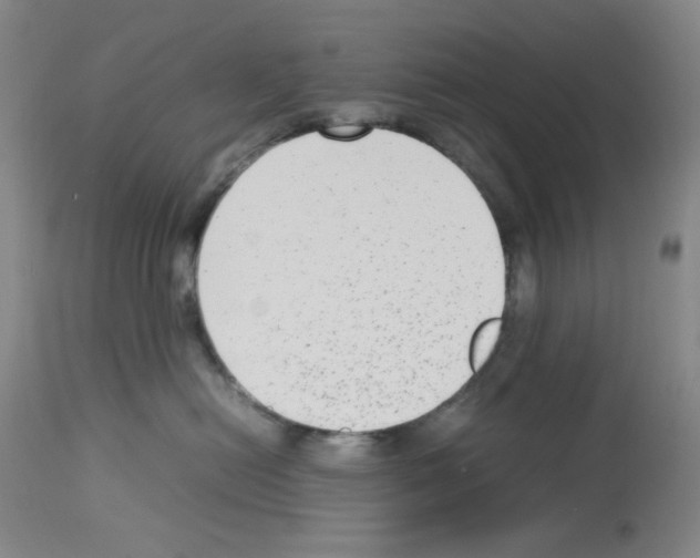 X0000112730478200910011201
