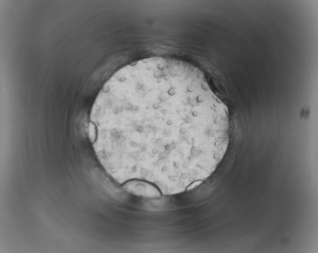 X0000112730479200910011201
