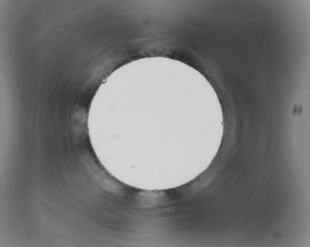 X0000112730480200910011201