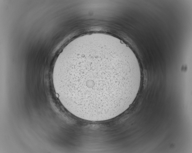 X0000112730482200910011201