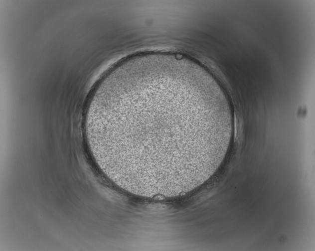 X0000112730483200910011201