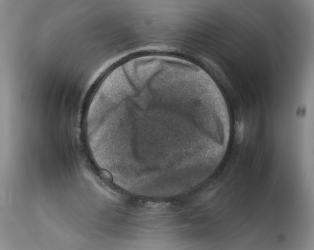 X0000112730484200910011200