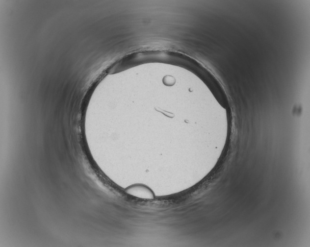 X0000112730485200910011200