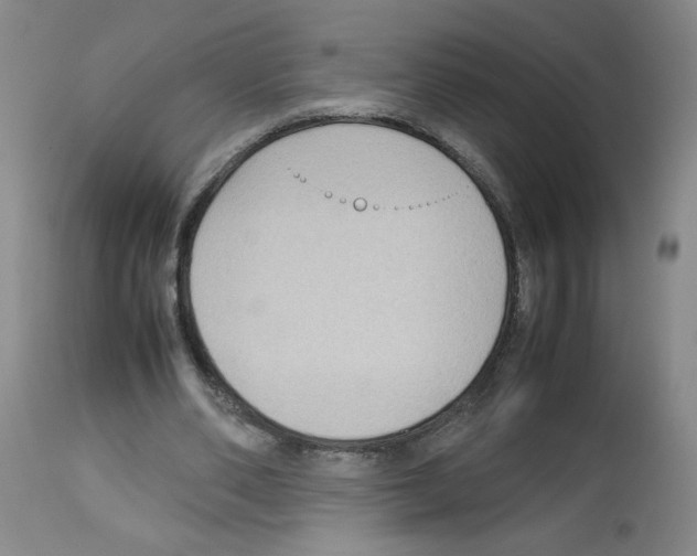 X0000112730486200910011200