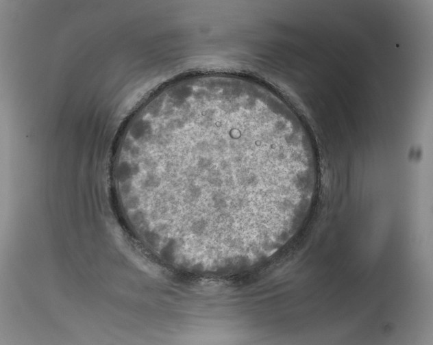 X0000112730487200910011200