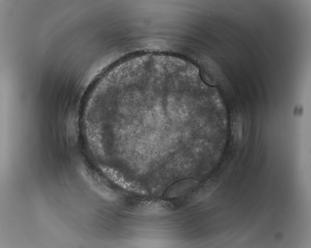 X0000112730488200910011200