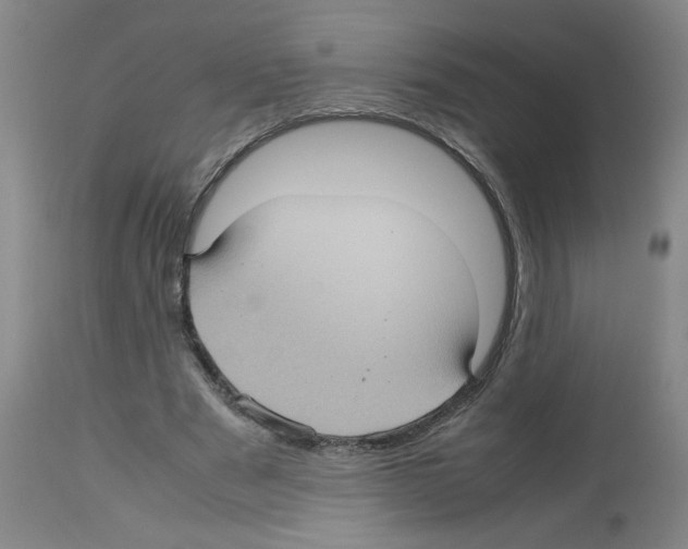 X0000112730489200910011200