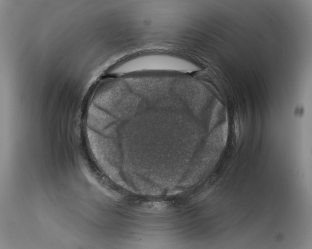 X0000112730492200910011200