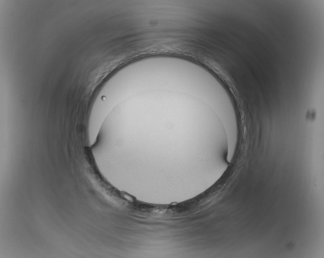 X0000112730493200910011200