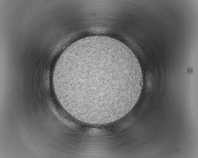 X0000112730494200910011200