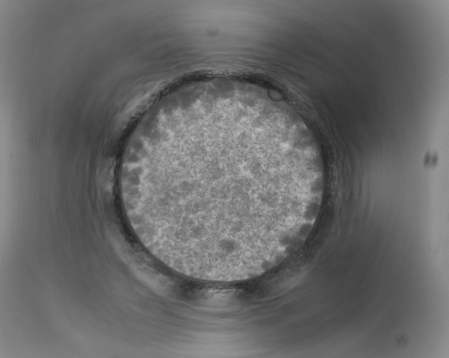 X0000112730495200910011200