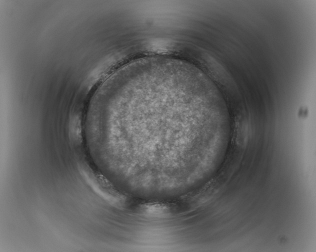 X0000112730500200910011200