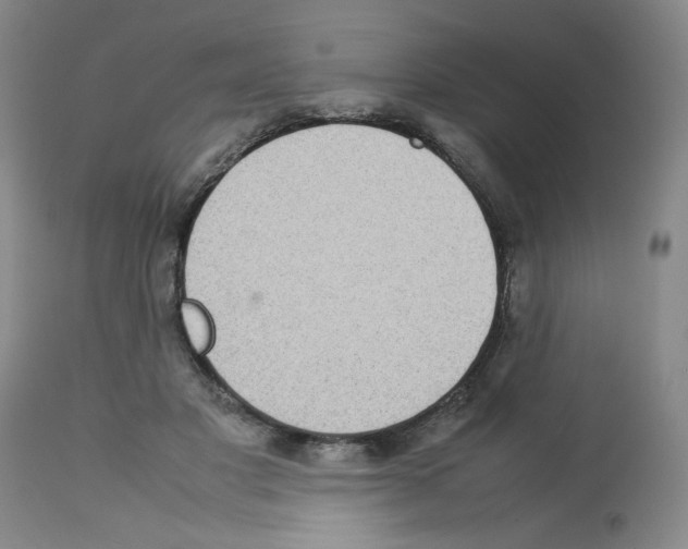 X0000112730501200910011200