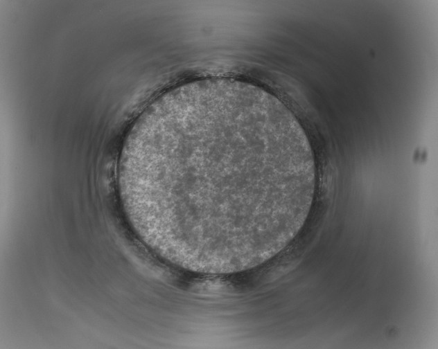 X0000112730503200910011200