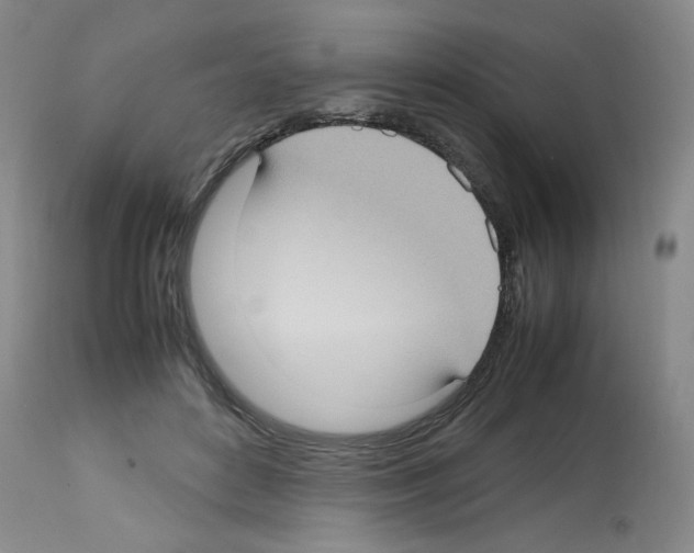 X0000112730504200910011200