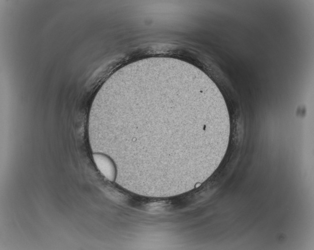 X0000112730505200910011200