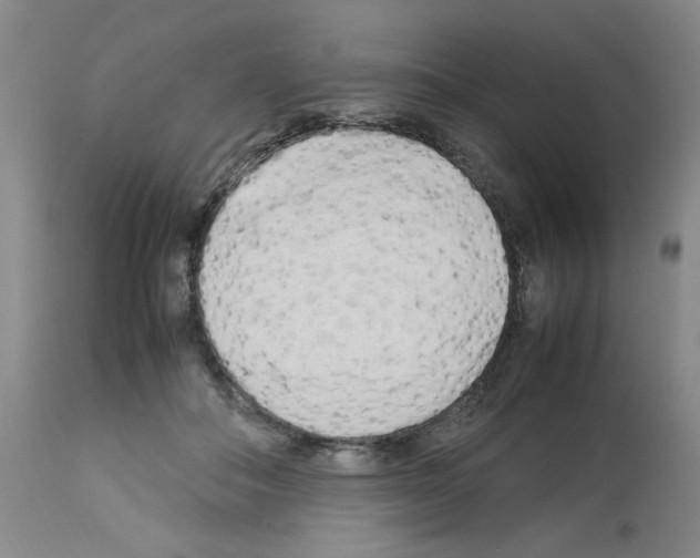 X0000112730506200910011200
