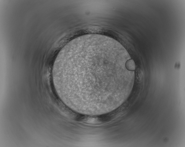 X0000112730507200910011200