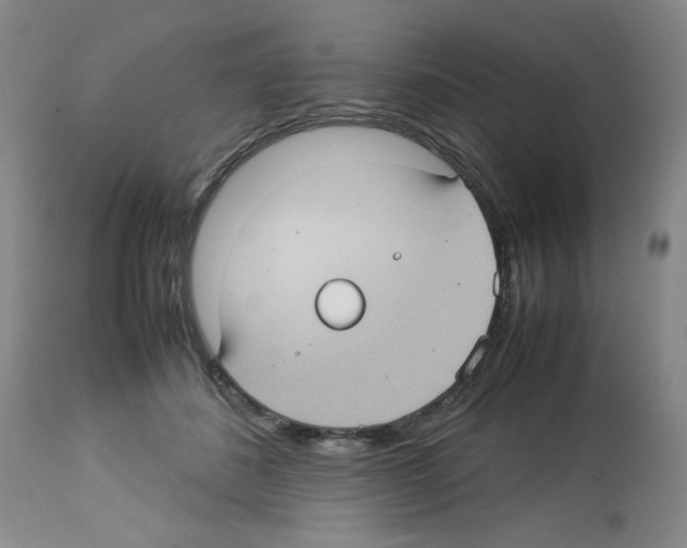 X0000112730508200910011200