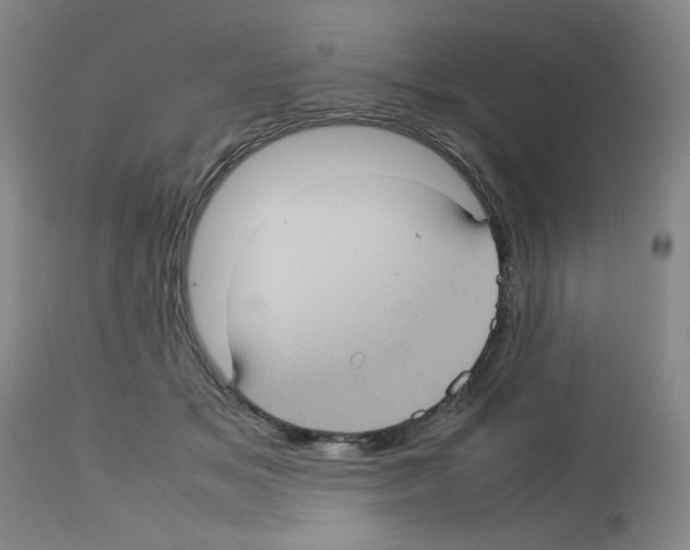 X0000112730509200910011200