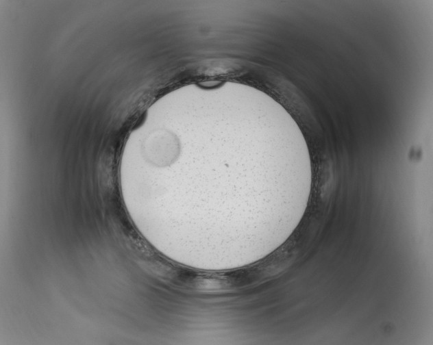 X0000112730510200910011200