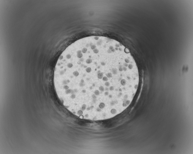 X0000112730511200910011200
