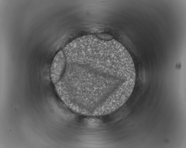 X0000112730512200910011200